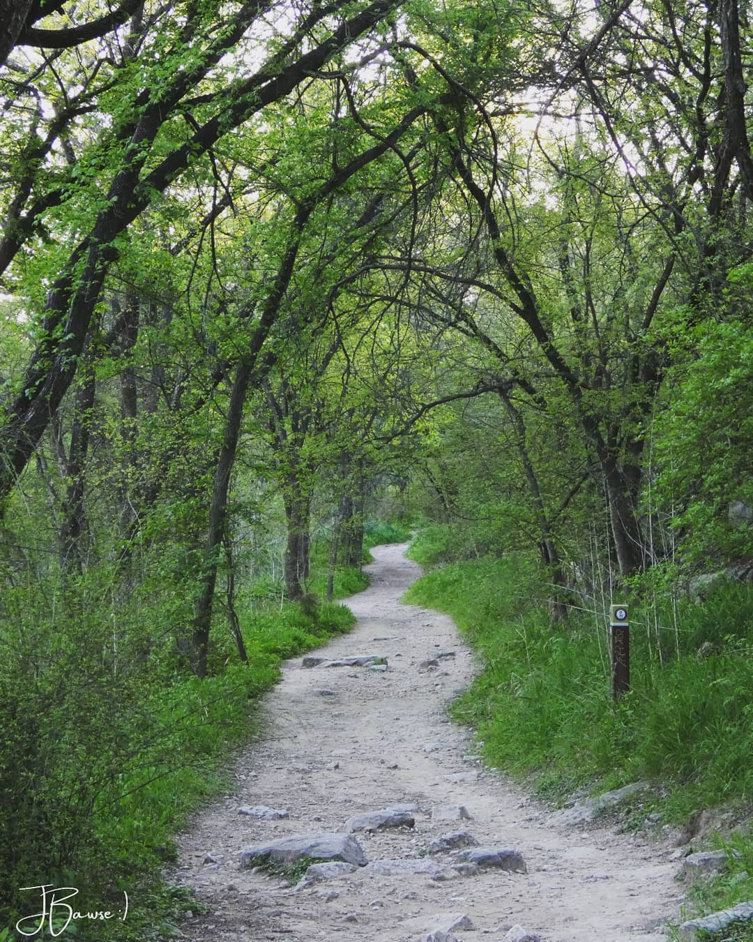 barton creek greenbelt in austin texas