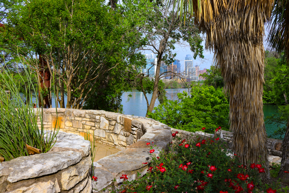 view of downtown austin through trees in a park