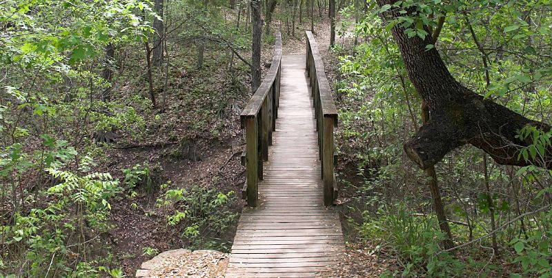 McKinney Falls bridge in the state park