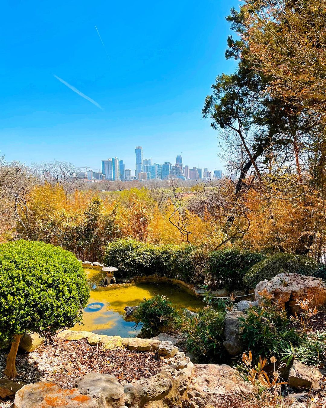 zilker botanical garden with austin skyline in background