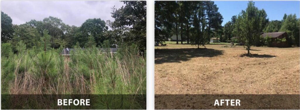 before and after image of land clearing