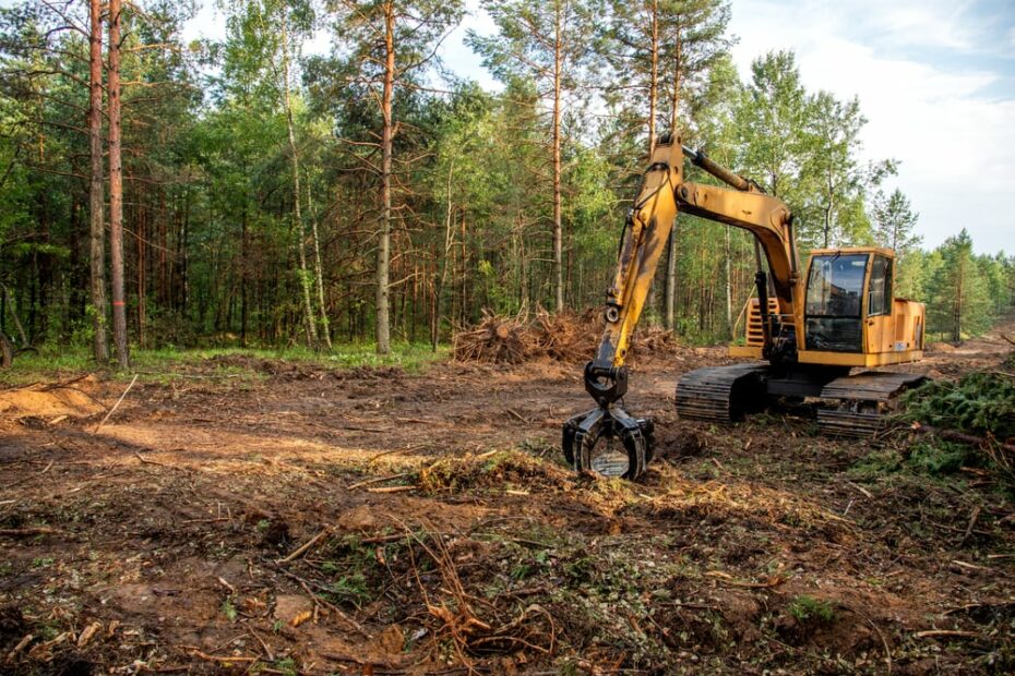 land clearing - featured image